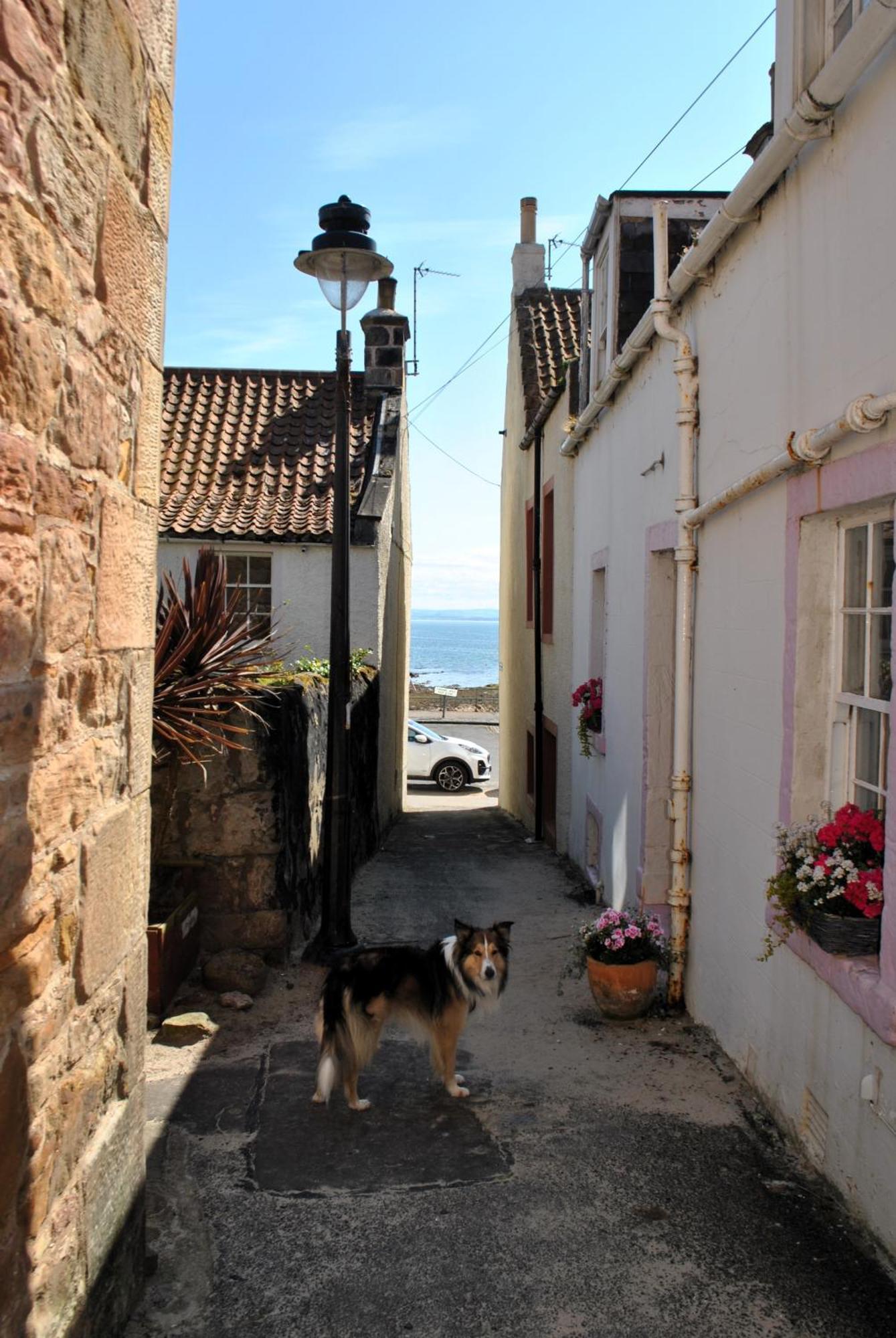 Dookers Nook- Quirky Coastal Cottage Pittenweem Luaran gambar